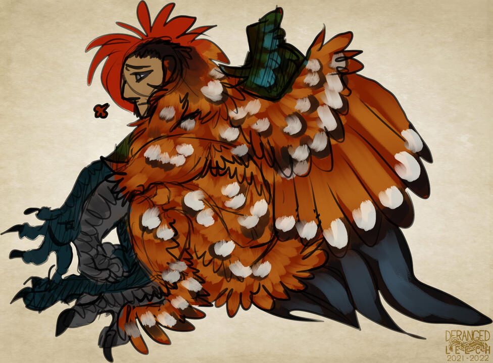 50$ Fullbody