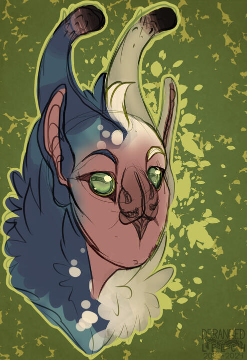35$ Headshot