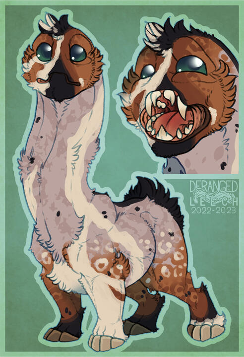 Fullbody / Headshot