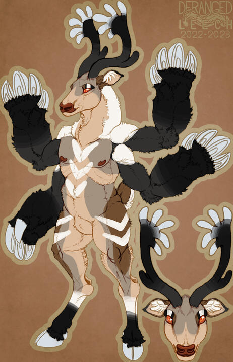 Fullbody / Headshot